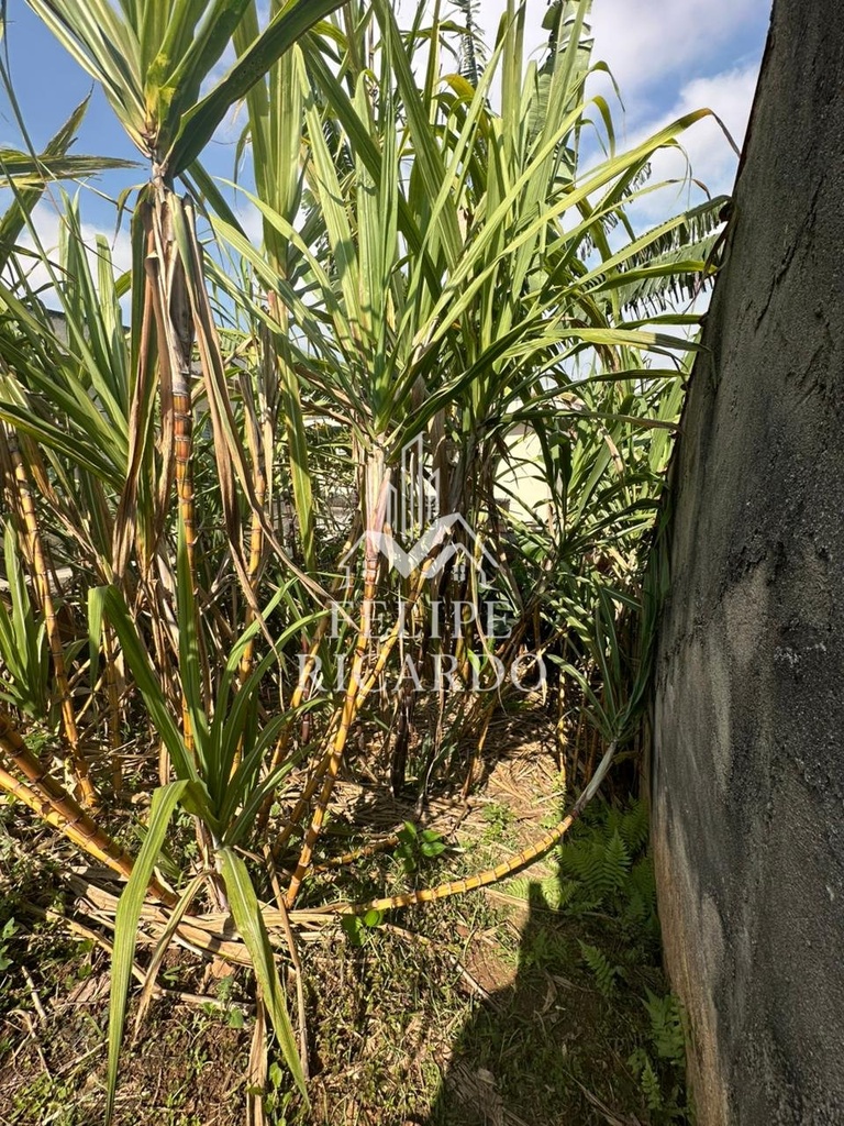 residential-/-land-lot-200m2-independencia-sao-bernardo-do-campo-sp