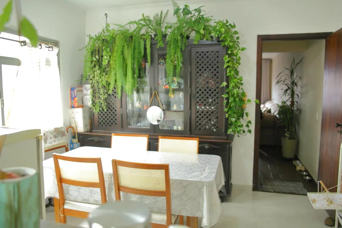 residential-/-home-3-quartos-229m2-nova-petropolis-sao-bernardo-do-campo-sp