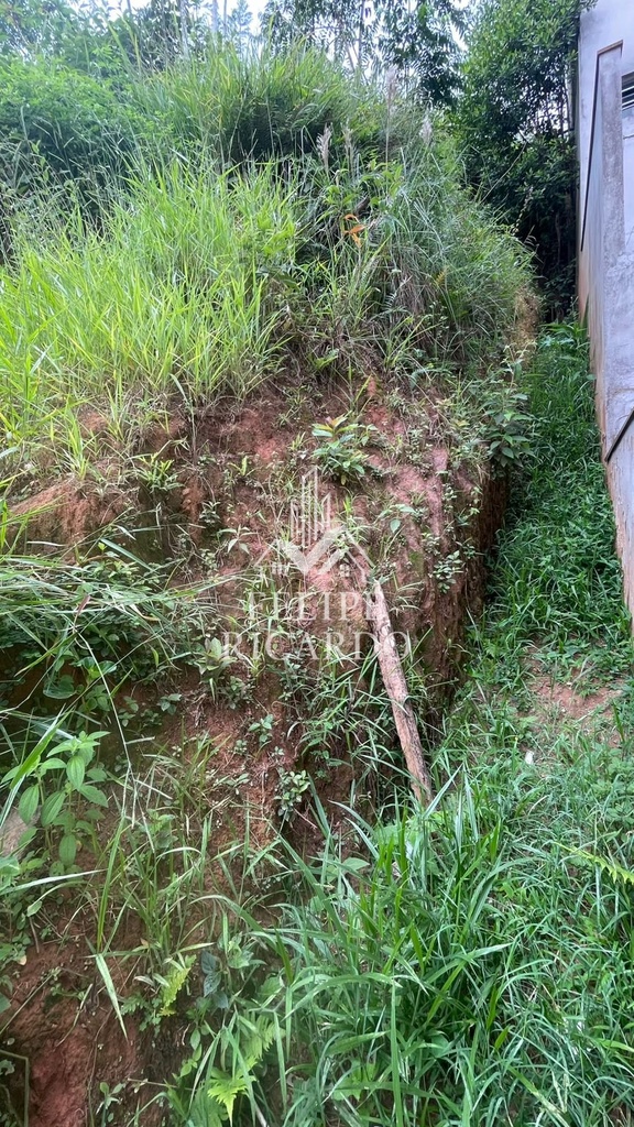 residential-/-land-lot-125m2-alvarenga-sao-bernardo-do-campo-sp