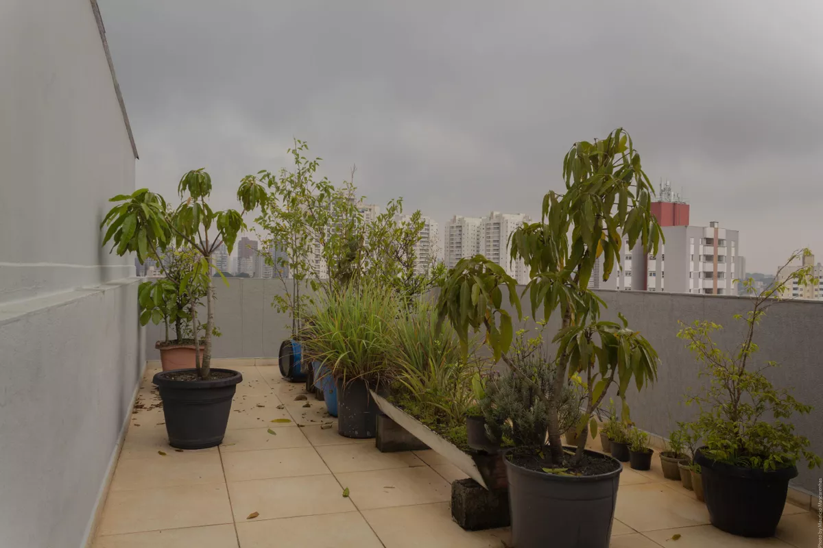 residential-/-home-3-quartos-228m2-vila-vianas-sao-bernardo-do-campo-sp