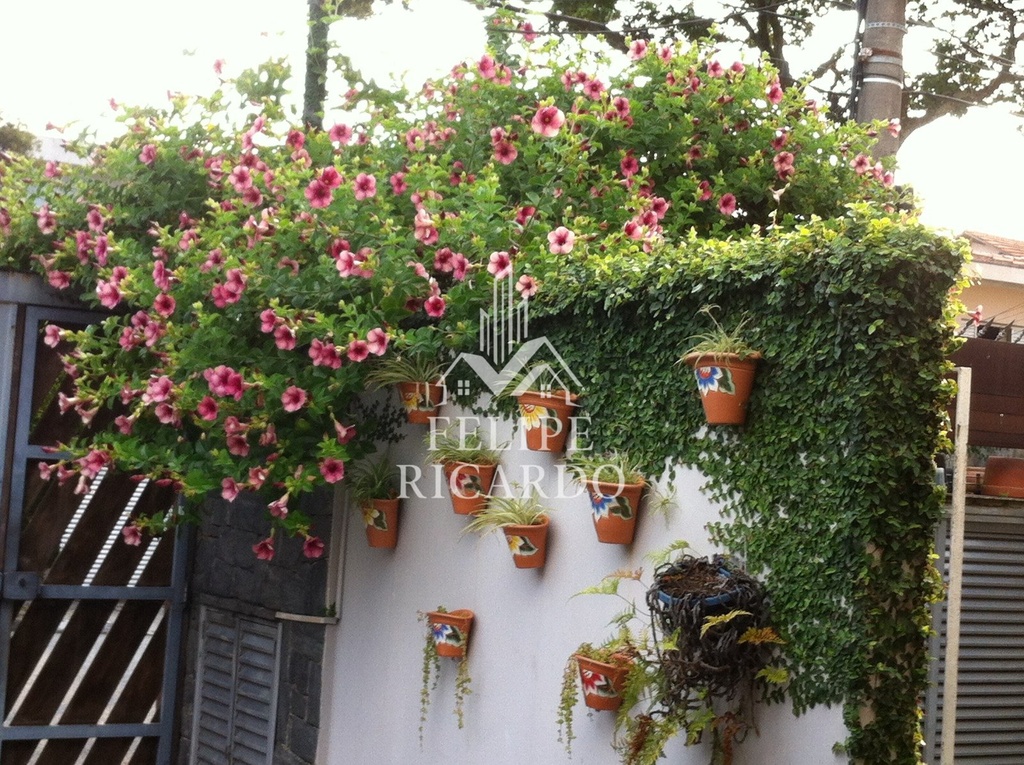 residential-/-home-3-quartos-360m2-nova-petropolis-sao-bernardo-do-campo-sp