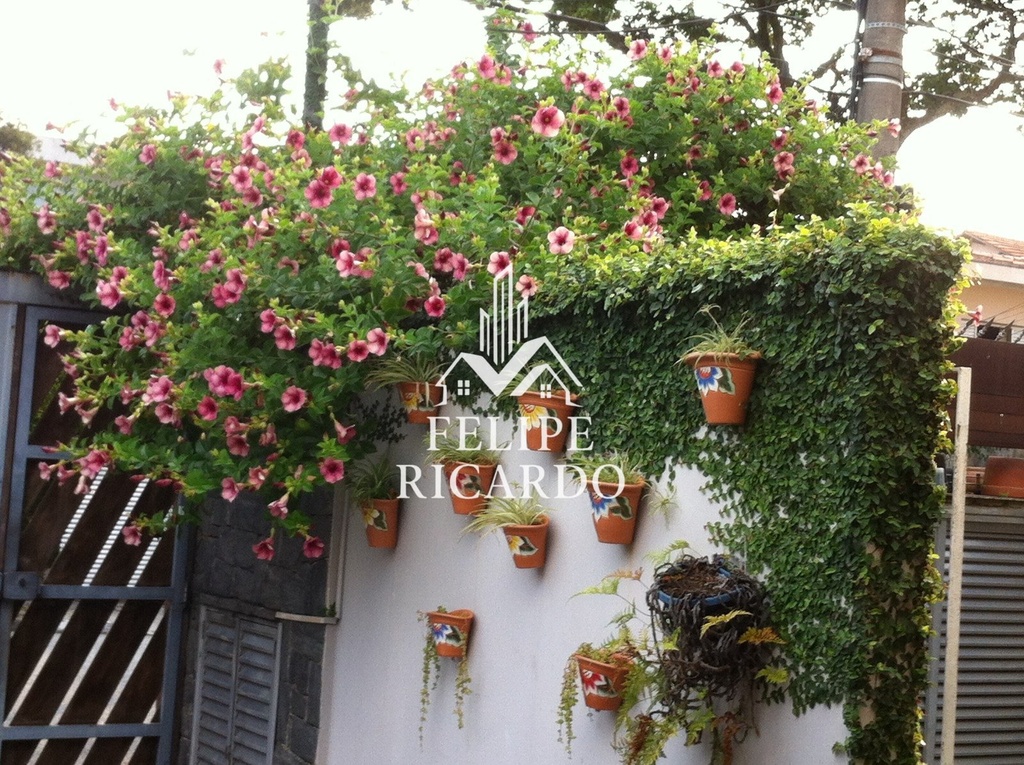 residential-/-home-3-quartos-360m2-nova-petropolis-sao-bernardo-do-campo-sp