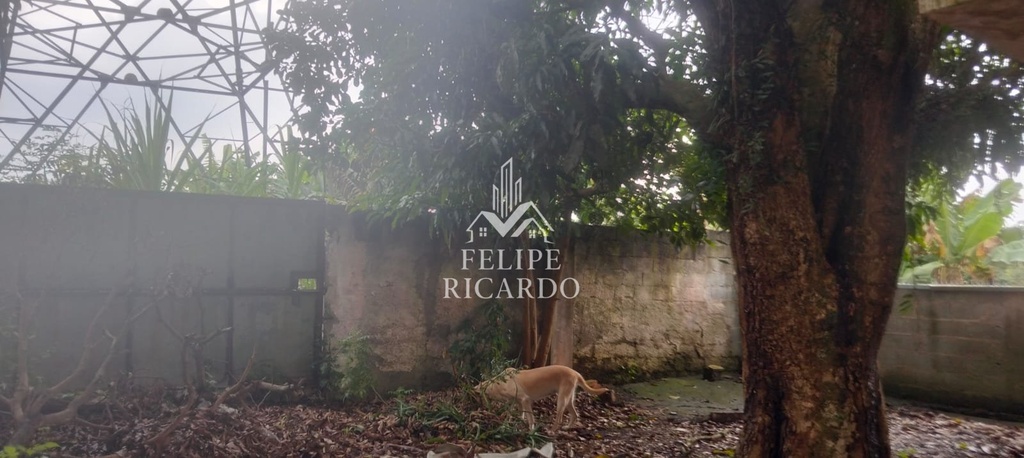 residential-/-land-lot-465m2-vila-assis-brasil-maua-sp