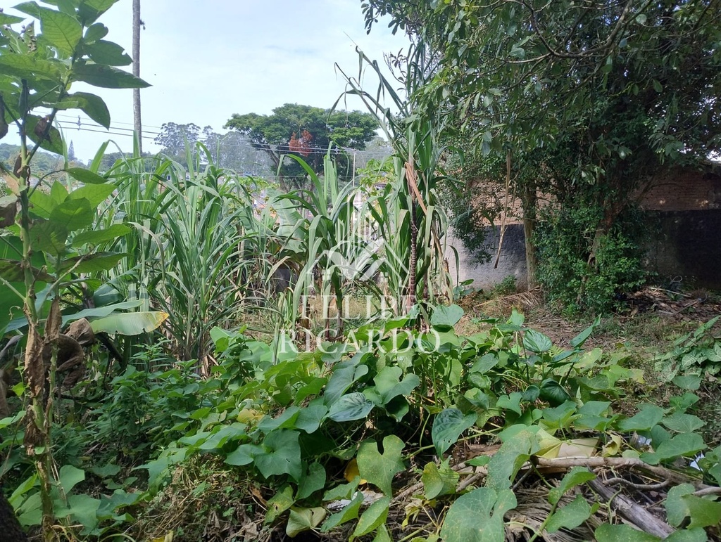 commercial-/-land-lot-1000m2-batistini-sao-bernardo-do-campo-sp